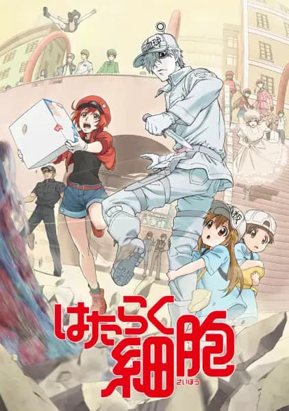 Hataraku Saibou (TV)
