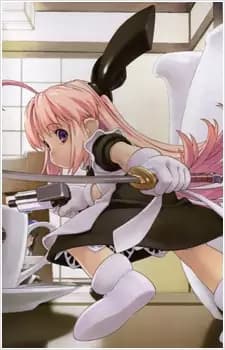 Ichigeki Sacchuu!! HoiHoi-san