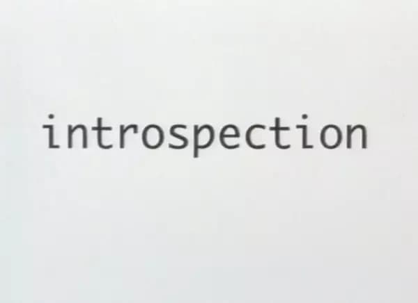 Introspection