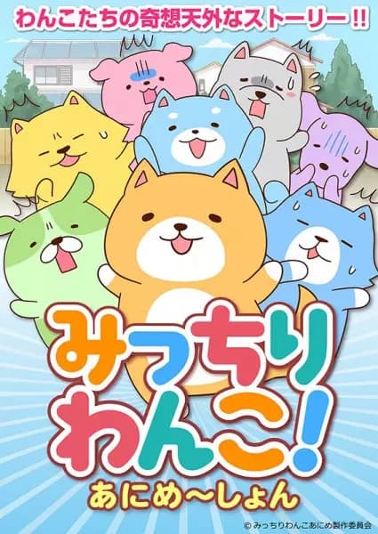 Micchiri Wanko! Animation