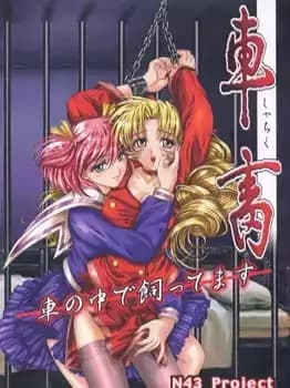 Shachiku: Kuruma no Naka de Kattemasu