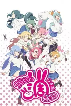 Urawa no Usagi-chan Special