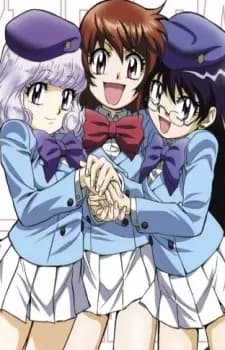 Zettai Karen Children Recap