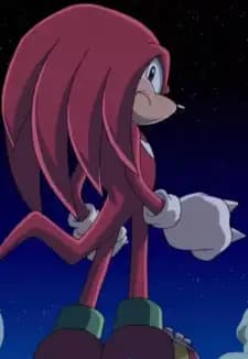 Knuckles The Echidna