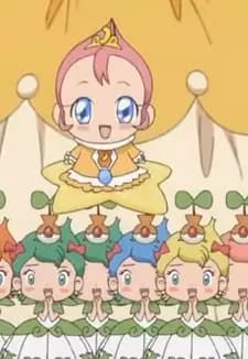 The 11 Seed Princesses