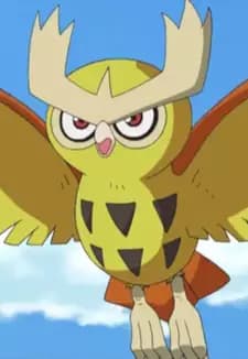 Noctowl