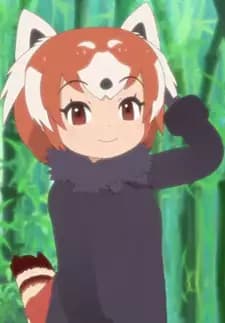 Red Panda