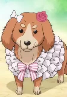 Marie Lily Antoinette