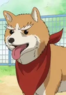 Cinnamon "Oda Nobunaga"