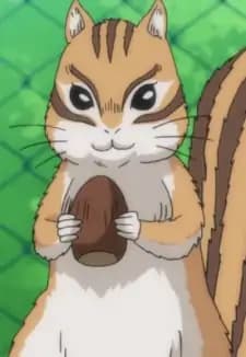 Mitsuhide Risu Akechi