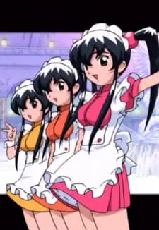 Lemon, Marron and Melon