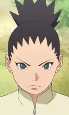 Shikadai Nara