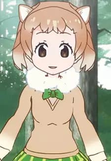 Black-tailed Prairie Dog