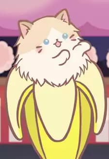 Ragdoll Bananya