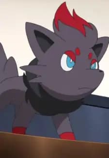 Zorua