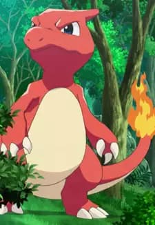 Charmeleon