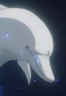 White Dolphin