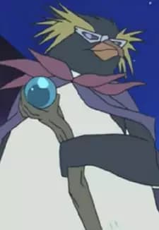 Rockhopper Penguin