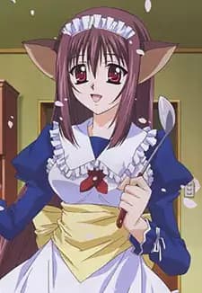 Misaki (Yoriko) Sagisawa