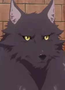 Blackas Shadow Prince