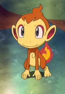 Chimchar