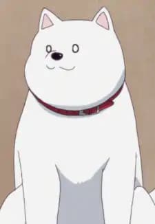 Inu
