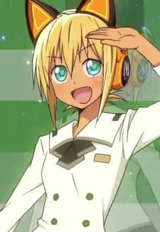 Wanderlei Zillminnko