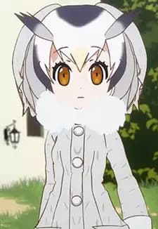 Northern White-faced Owl