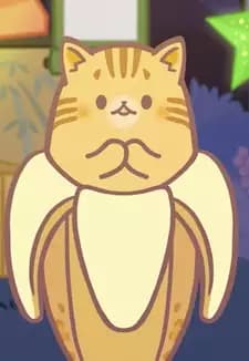 Scottish Fold Bananya