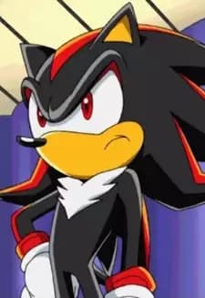 Shadow the Hedgehog